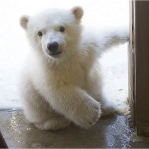 Meet your Posher, Tiff